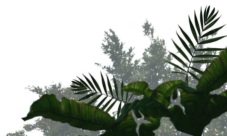 Bright green jungle foliage